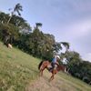 julio.daniel961