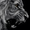 hamza.asadov