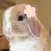 fluffynotfounddd