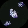 ifa00256