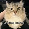 jsjjdjkfkfkffks