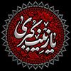 nilab957