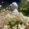 mexak_104