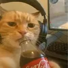 justnatethan_