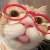 owalah_102