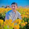 salman.habib65