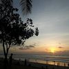 phoenix_ss4