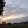sriari13