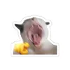 thudlwkdj