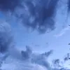 おちょんむり