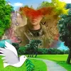 albert.guro6