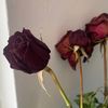 user012820010