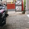 herman259511