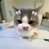 ng.thi.cham_010