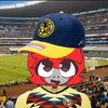 levyashinvrfsjr