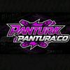 pantura.co