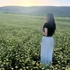 safae___safae__