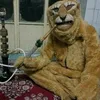mianer_xz