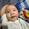 dieulywn