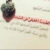 rudaina.murad