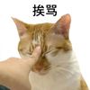 call.me.viiin