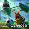 danilfaizov5