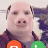 black.john.pork