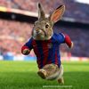 steven.rodriguez195