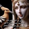 amel.hayat52