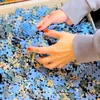 ysalinepuzzles