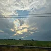 sara_marcon_