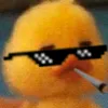 davidamaraljesusd