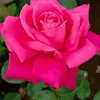 test.tesst6