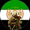 hamedsamadi14