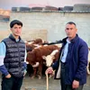مەیدانی ئاژەڵانی محمد 🐄🐂