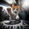 DJ/Prod T-Vip