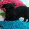 roberto.murillo600