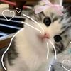 mimi_yhhhhh