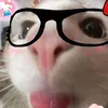 userlvodlvihbo