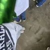 jemycamarasigan