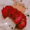 cute.princess5321