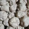 abidzar3201
