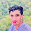 saeedghanishas81867786