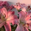 luisa_hert