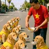 user18200815831327