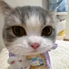 ngt.kieunhu_