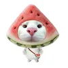 meocolong09