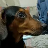 jlaquinodellomas