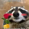 hiusnif.c0
