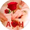 user36918293015841
